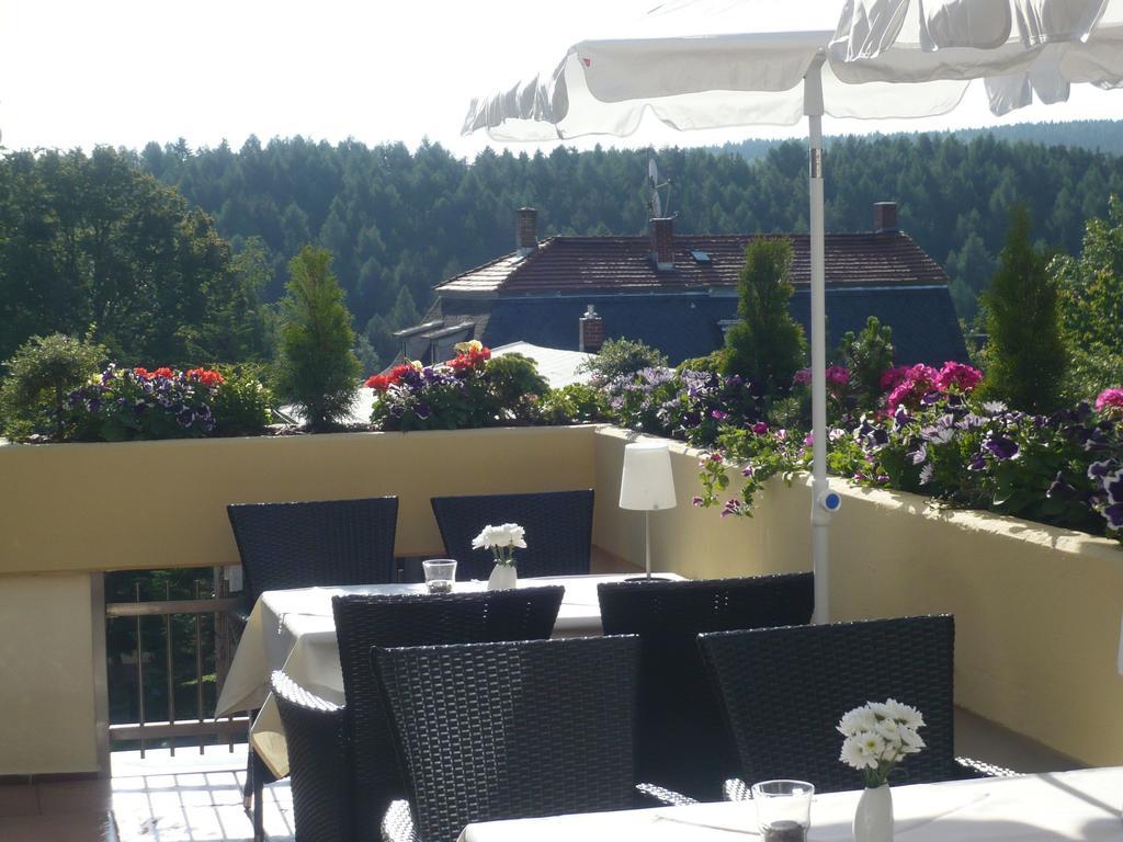 Hotel Falkenstein Falkenstein  Екстериор снимка