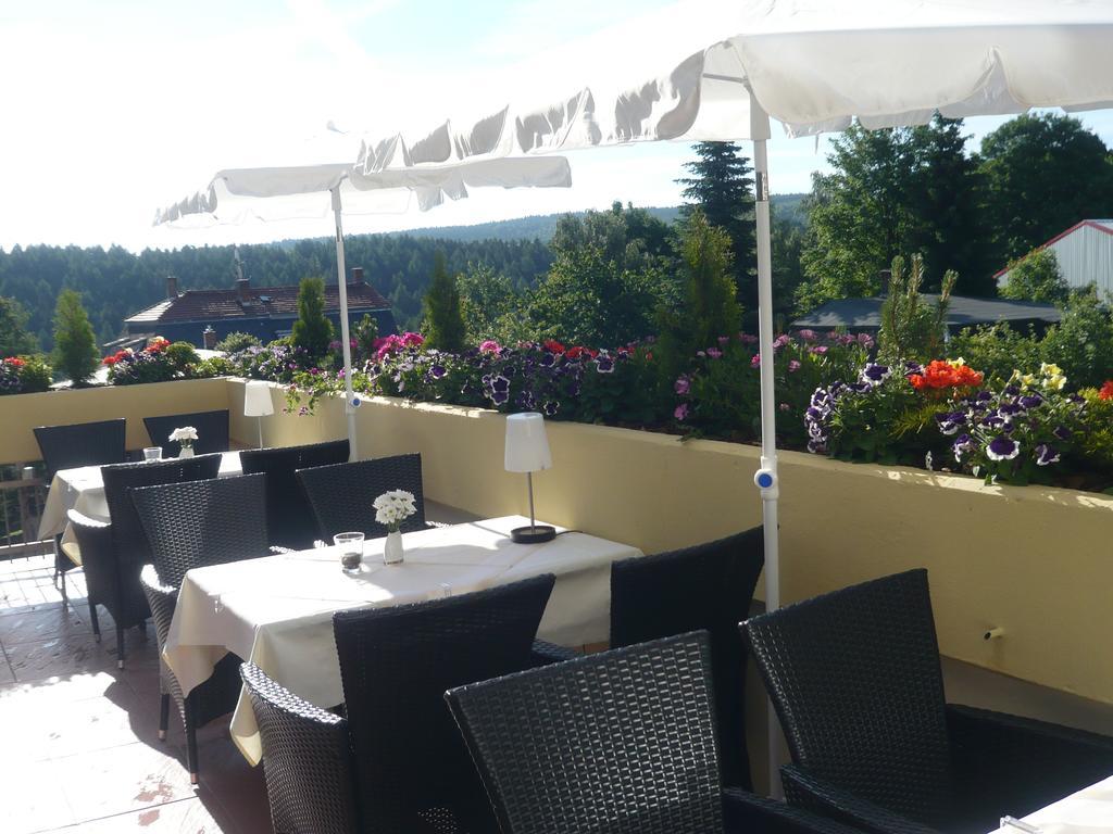 Hotel Falkenstein Falkenstein  Екстериор снимка
